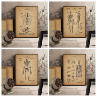Vintage Skeleton Anatomy Canvas Print