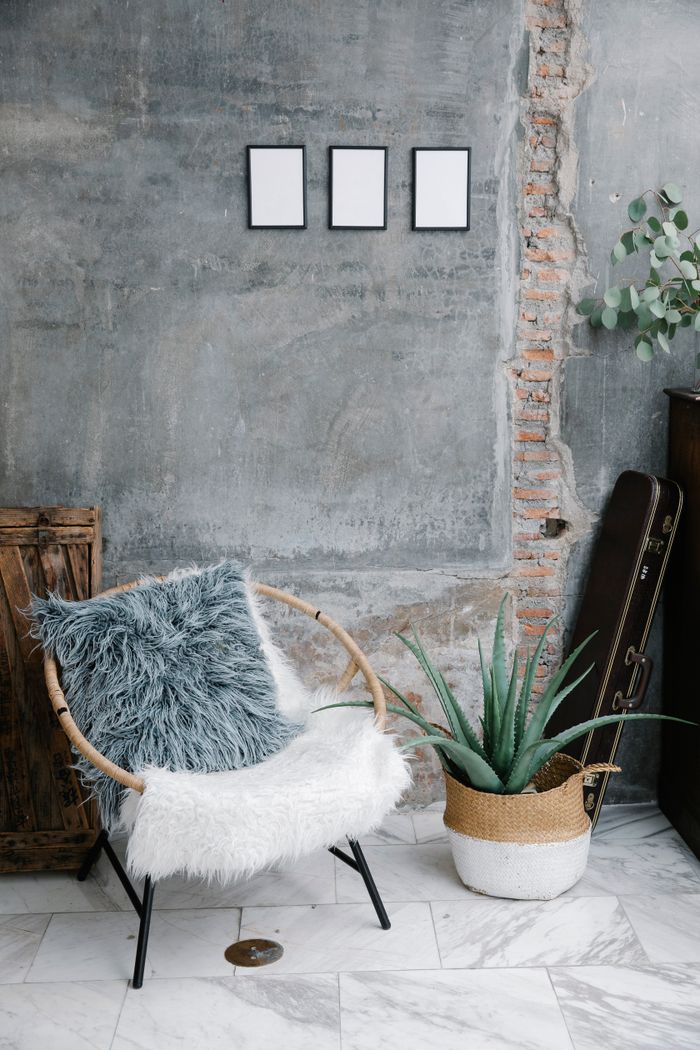 A relaxed chair beside leafy houseplants